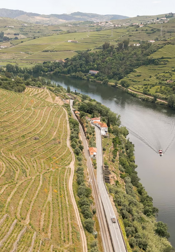 Screenshot 2025-12-16 at 11-08-13 as Vinhas Alves de Sousa